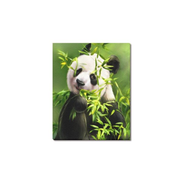 Canvas Prints Wall Art Print Decor – Framed Canvas Print 8×10 inch –  Bamboo Panda 8" x 10" Artistic Wall Hangings 5