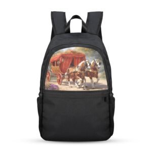 Back to School Backpack for Teens, College, Office – Laptop Compartment – Stagecoach Casual Backpack Bags/Backpacks back to school backpack