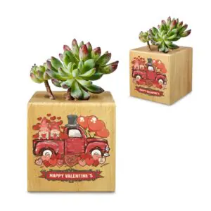 Mini Flower Pot, Valentine’s Indoor Wooden Desk Planter – Truck Mini Wooden Flower Pot Planters cube flower pot
