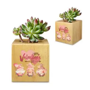 Mini Flower Pot, Valentine’s Indoor Wooden Desk Planter – Gnomes Mini Wooden Flower Pot Planters cube flower pot