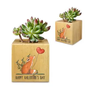 Mini Flower Pot, Valentine’s Indoor Wooden Desk Planter – Fox Mini Wooden Flower Pot Planters cube flower pot