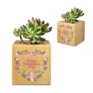 Mini Flower Pot, Valentine’s Indoor Wooden Desk Planter – Heart Wreath Mini Wooden Flower Pot Planters cube flower pot