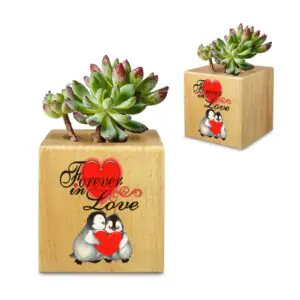 Mini Flower Pot, Valentine’s Indoor Wooden Desk Planter – Penguins Mini Wooden Flower Pot Planters cube flower pot