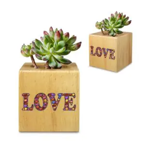 Mini Flower Pot, Valentine’s Indoor Wooden Desk Planter – Emojis Mini Wooden Flower Pot Planters cube flower pot