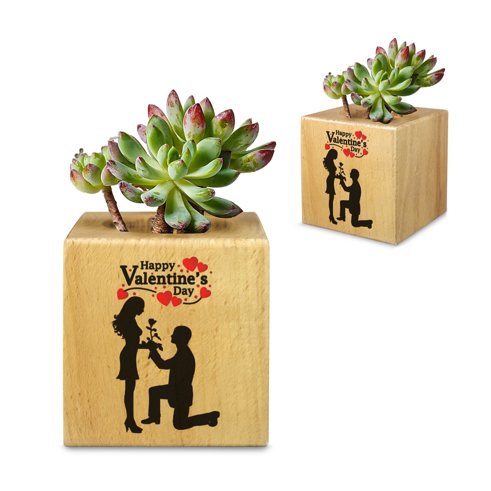 Mini Flower Pot, Valentine’s Indoor Wooden Desk Planter – Hedgehogs Mini Wooden Flower Pot Planters cube flower pot