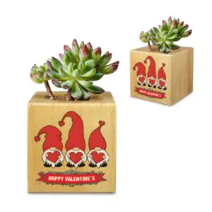 Mini Flower Pot, Valentine’s Indoor Wooden Desk Planter – Gnome Hearts Mini Wooden Flower Pot Planters cube flower pot