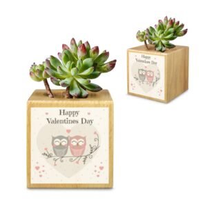 Mini Flower Pot, Valentine’s Indoor Wooden Desk Planter – Owly Mini Wooden Flower Pot Planters cube flower pot Mini Flower Pot, Valentine’s Indoor Wooden Desk Planter – Owly Mini Wooden Flower Pot Planters cube flower pot