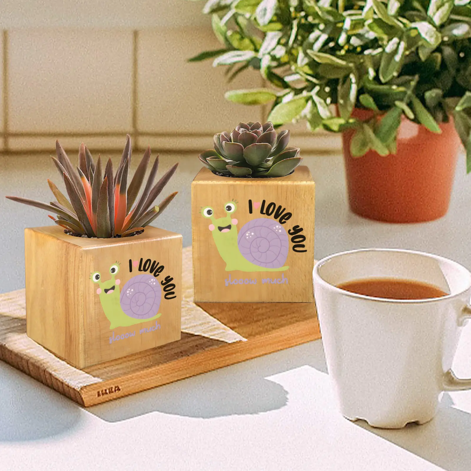 Mini Flower Pot, Valentine’s Indoor Wooden Desk Planter – Slow Mini Wooden Flower Pot Planters cube flower pot 5 Mini Flower Pot, Valentine’s Indoor Wooden Desk Planter – Slow Mini Wooden Flower Pot Planters cube flower pot 5