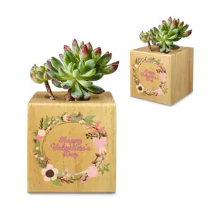 Mini Flower Pot, Valentine’s Indoor Wooden Desk Planter – Wreath Mini Wooden Flower Pot Planters cube flower pot