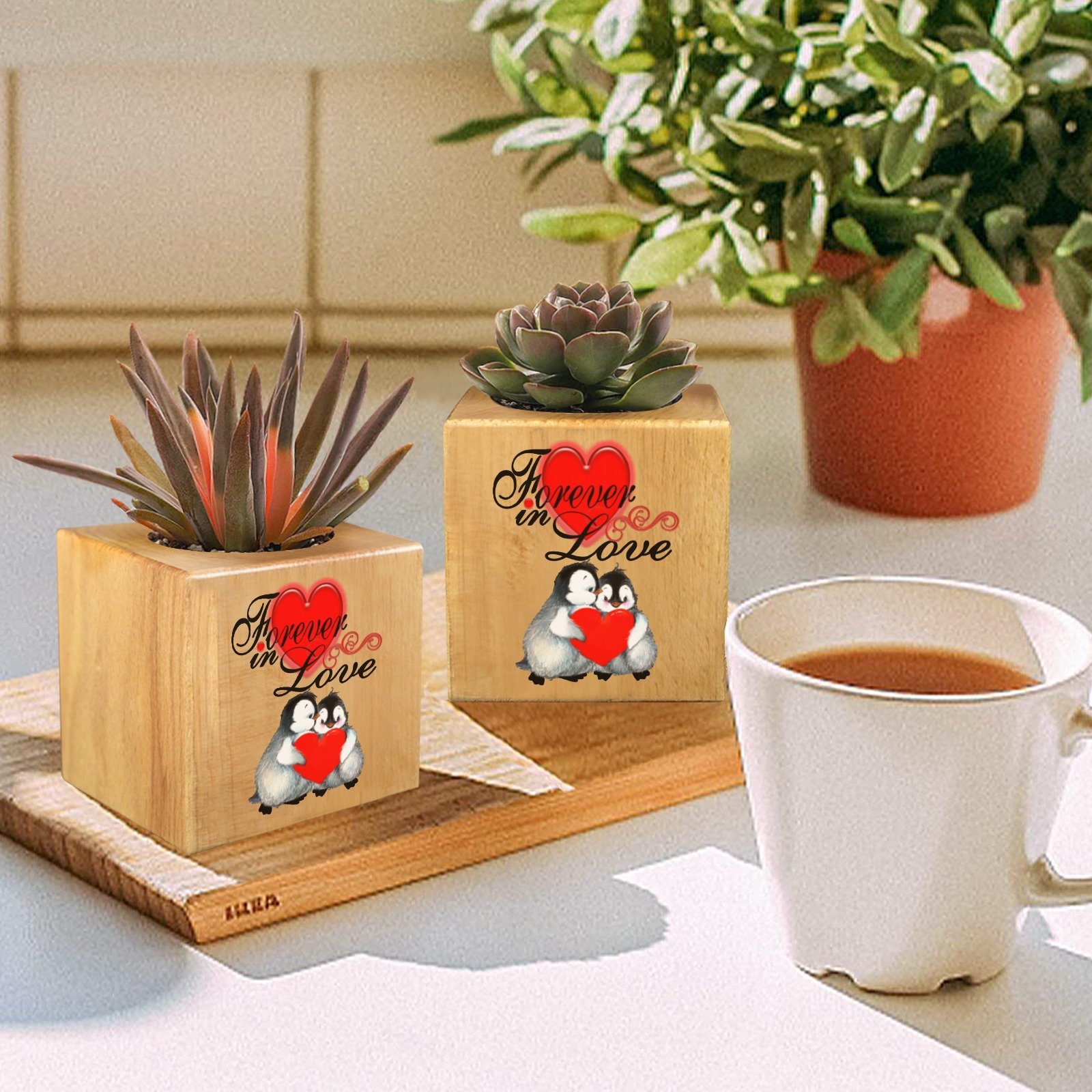 Mini Flower Pot, Valentine’s Indoor Wooden Desk Planter – Penguins Mini Wooden Flower Pot Planters cube flower pot 5 Mini Flower Pot, Valentine’s Indoor Wooden Desk Planter – Penguins Mini Wooden Flower Pot Planters cube flower pot 5