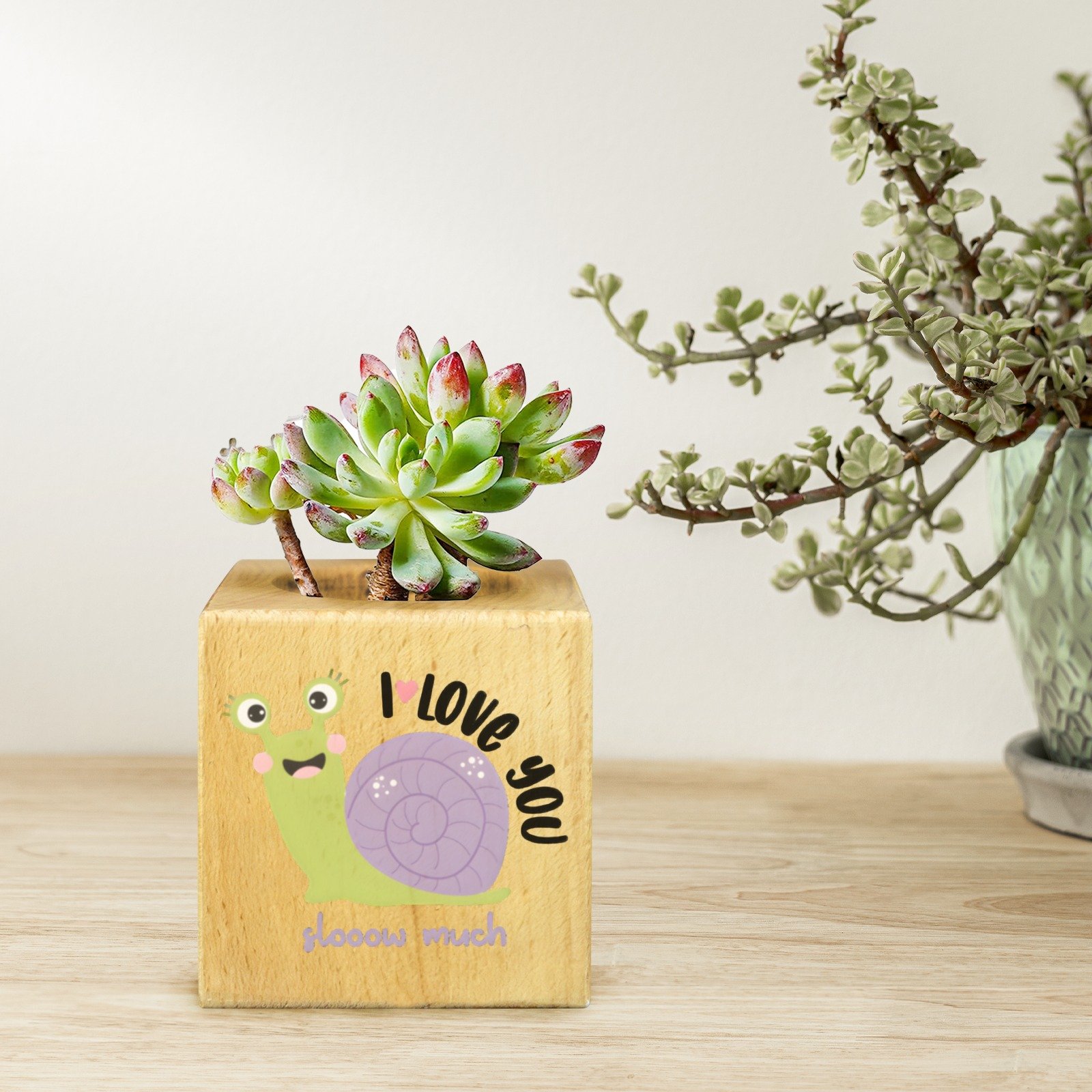 Mini Flower Pot, Valentine’s Indoor Wooden Desk Planter – Slow Mini Wooden Flower Pot Planters cube flower pot 4 Mini Flower Pot, Valentine’s Indoor Wooden Desk Planter – Slow Mini Wooden Flower Pot Planters cube flower pot 4