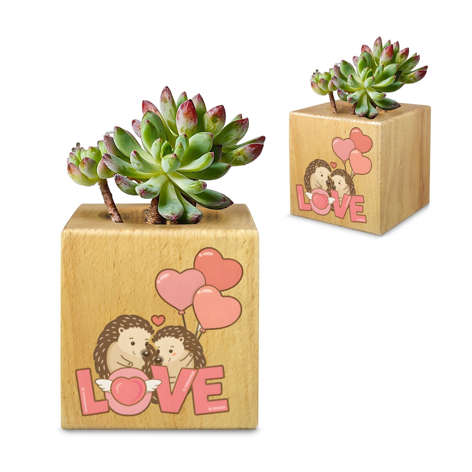 Mini Flower Pot, Valentine’s Indoor Wooden Desk Planter – Hedgehogs Mini Wooden Flower Pot Planters cube flower pot